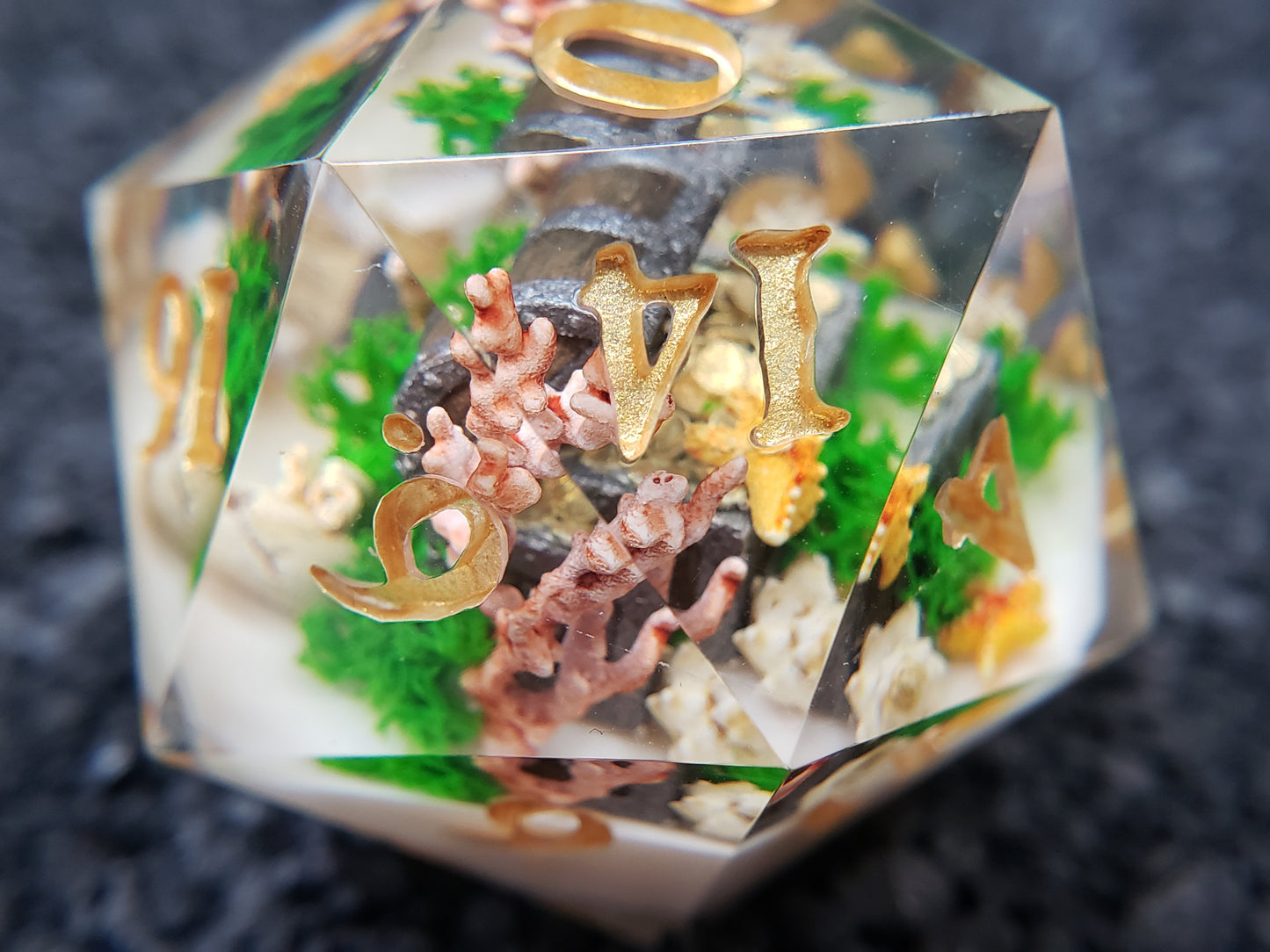 Ocean's Bounty | Jumbo D20