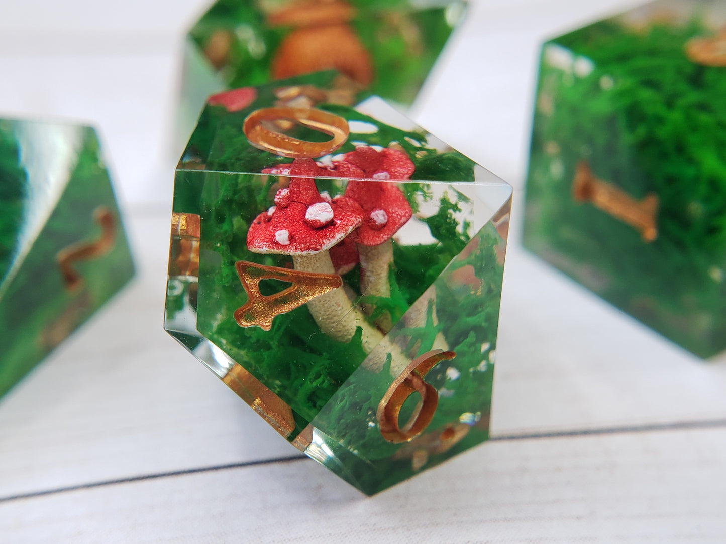 Mushroom Forager