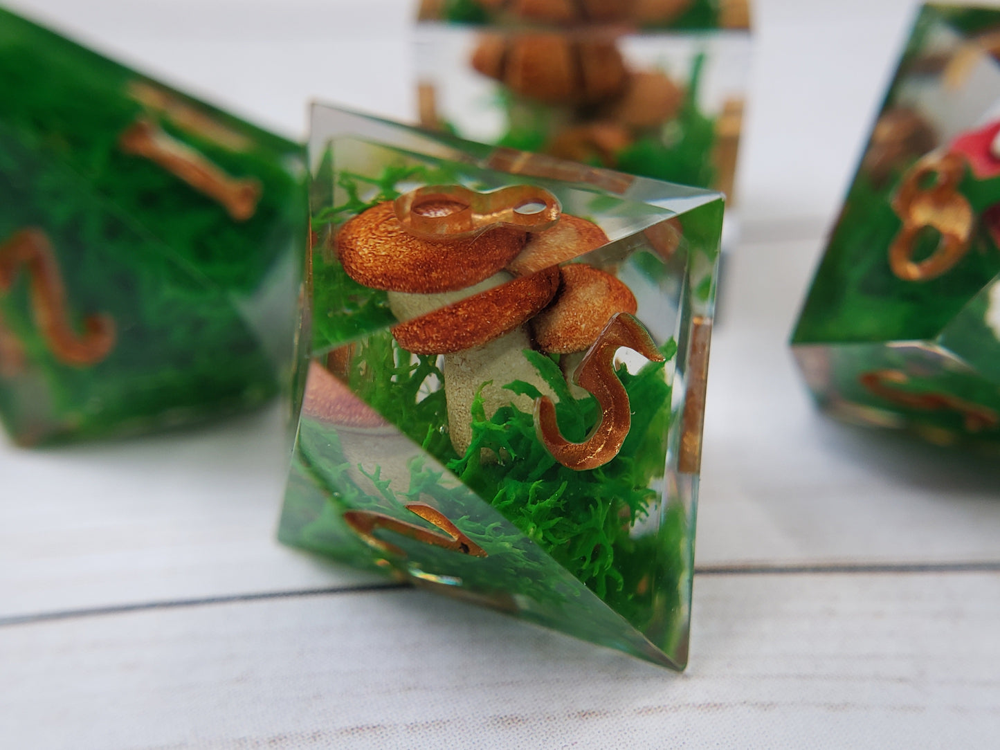 Mushroom Forager