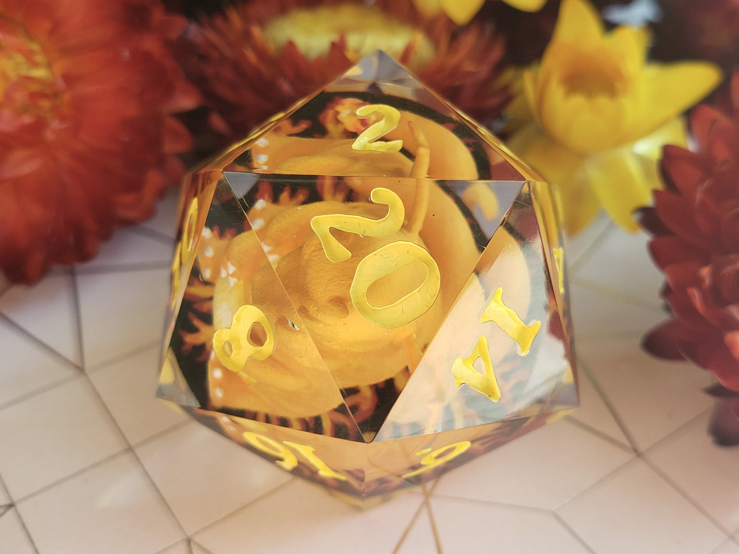 Chonkizard | Jumbo D20