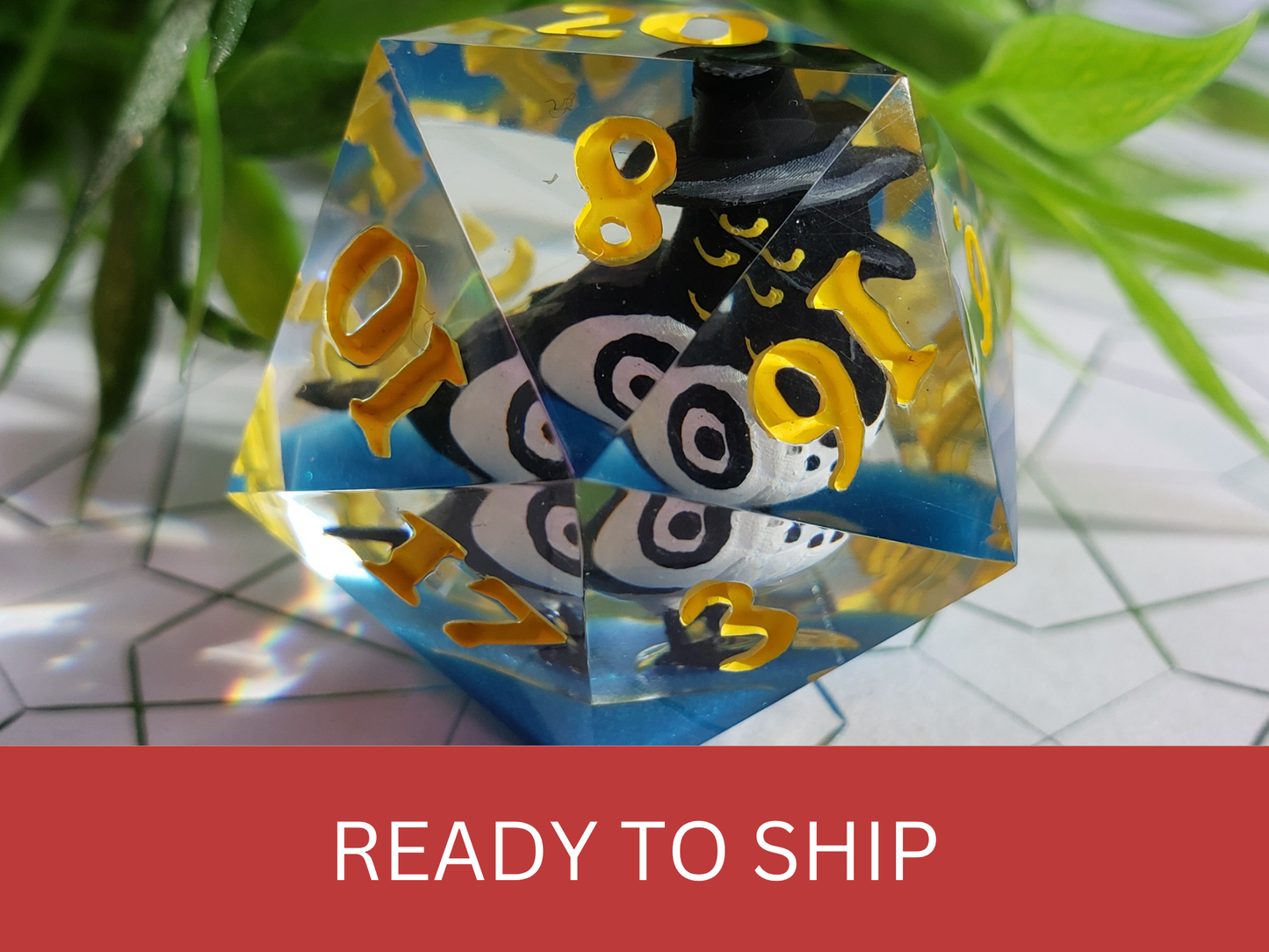 Sussie Magpie | Jumbo D20