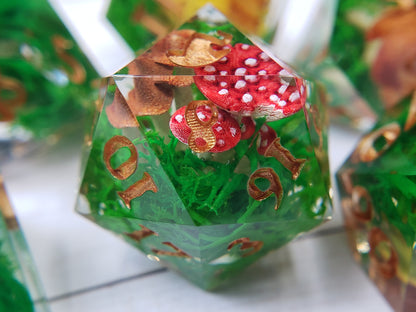 Mushroom Forager