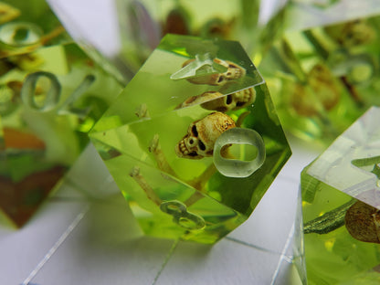 Gelatinous Polyhedrons