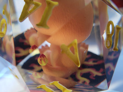 Charmander | Jumbo D20