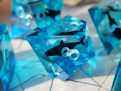 Shark Bait