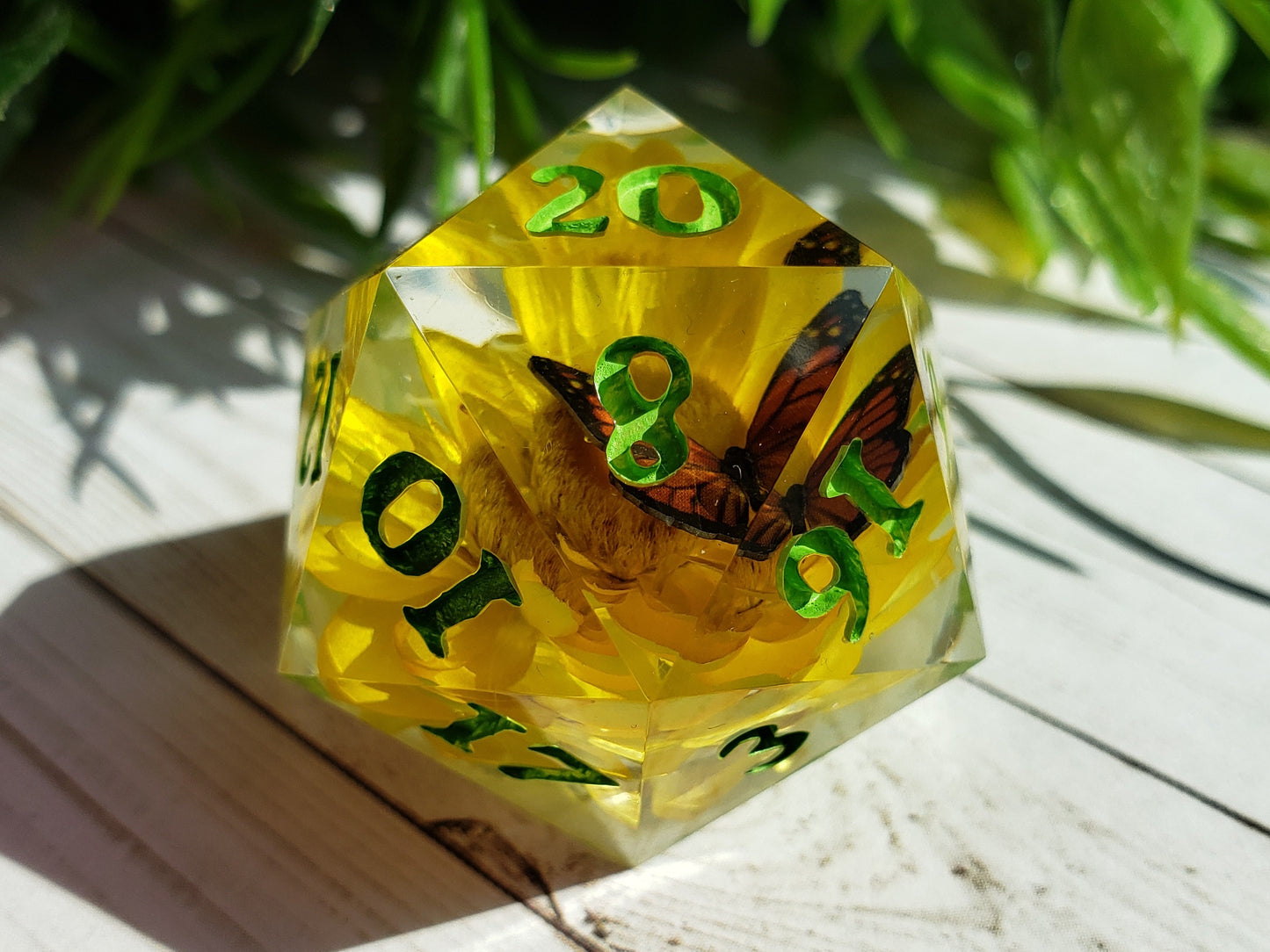 The Queen's Rest | Jumbo D20