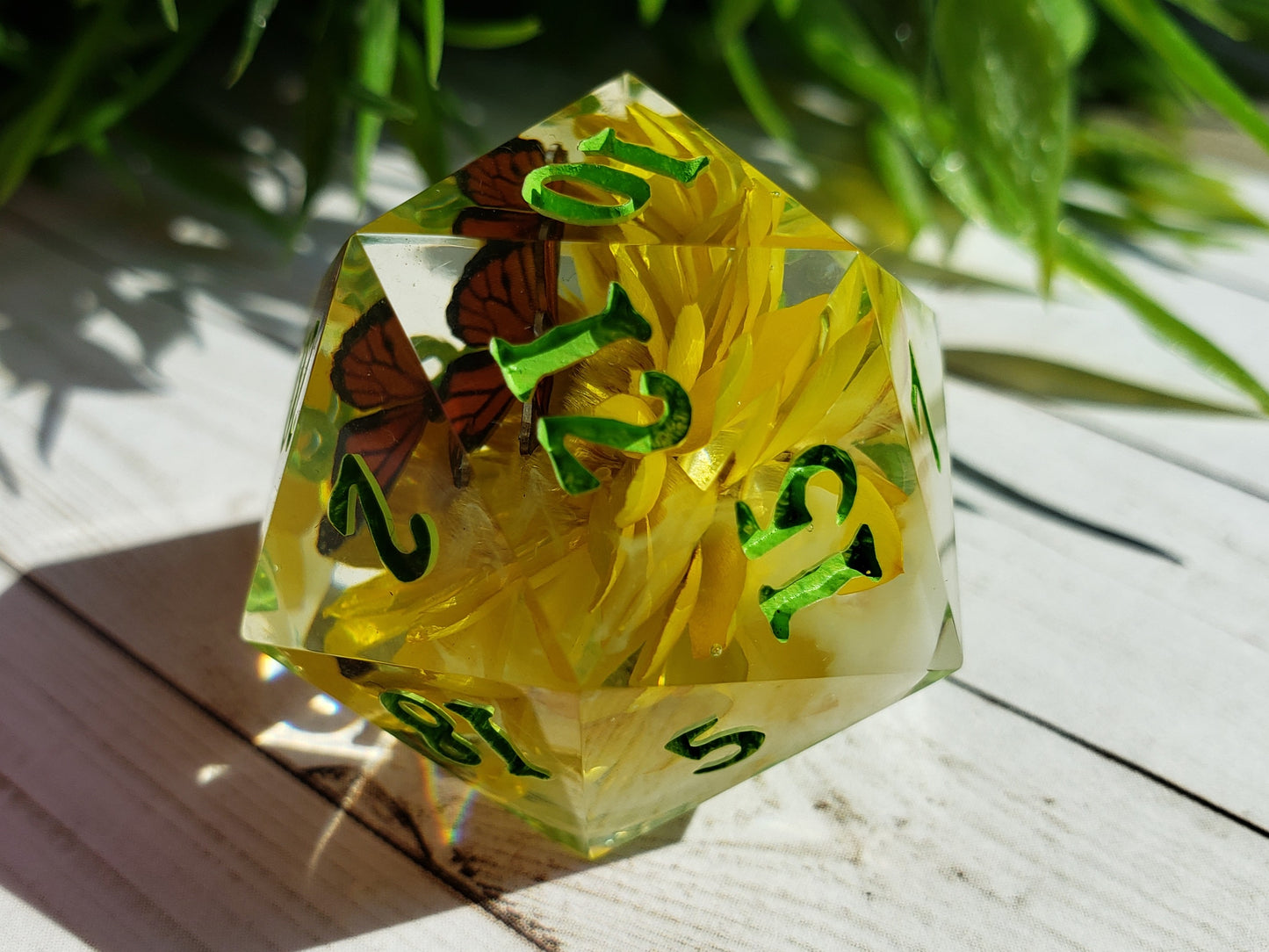 The Queen's Rest | Jumbo D20