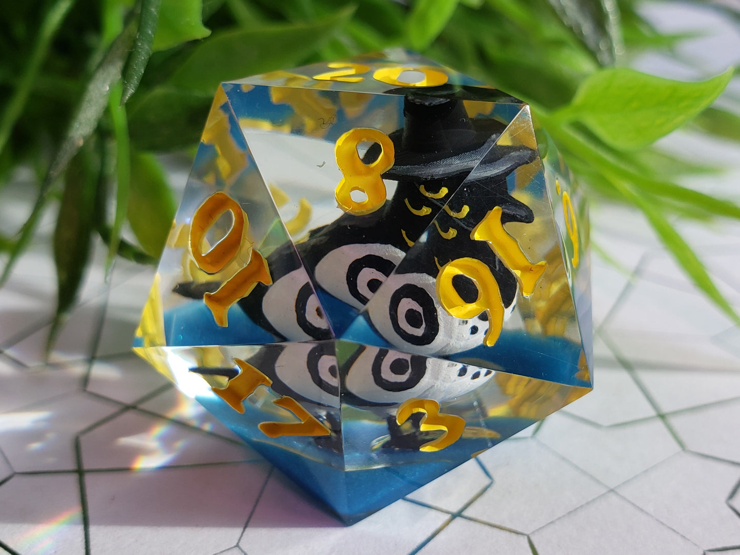 Sussie Magpie | Jumbo D20