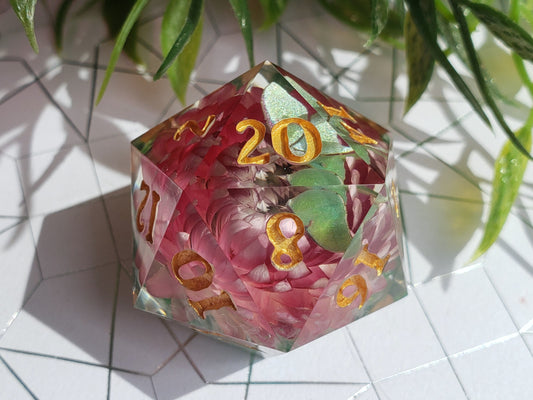 Broken Wings | Jumbo D20