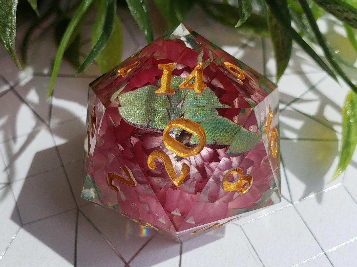 Broken Wings | Jumbo D20
