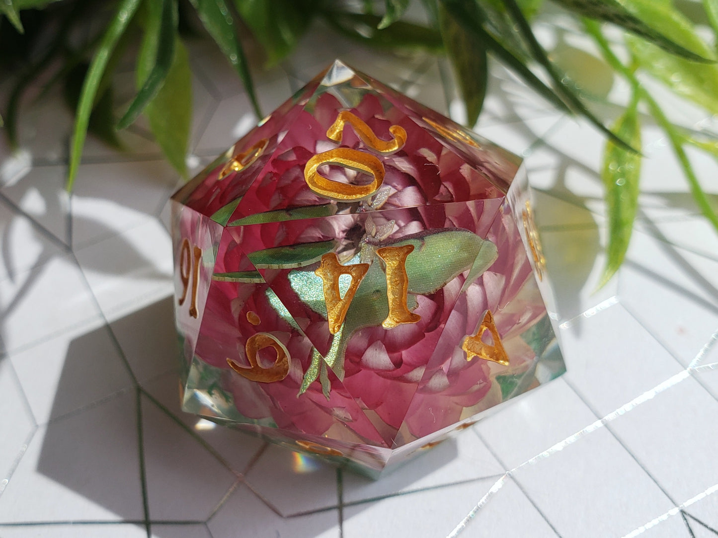 Broken Wings | Jumbo D20