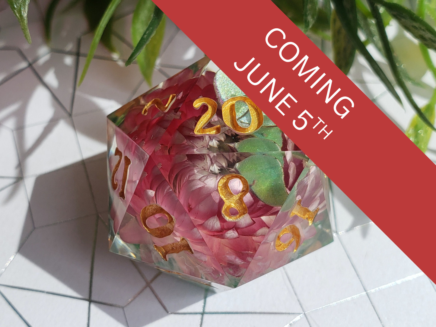 Broken Wings | Jumbo D20